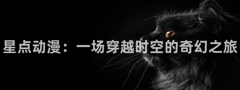 91动漫天堂：星点动漫：一场穿越时空的奇幻之旅