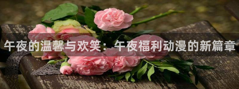 天堂动漫.shop：午夜的温馨与欢笑：午夜福利动漫的新篇章