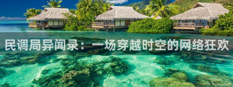 动漫天堂.cc：民调局异闻录：一场穿越时空的网络狂欢