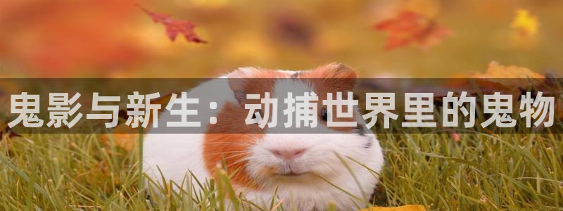 天堂动漫2：鬼影与新生：动捕世界里的鬼物