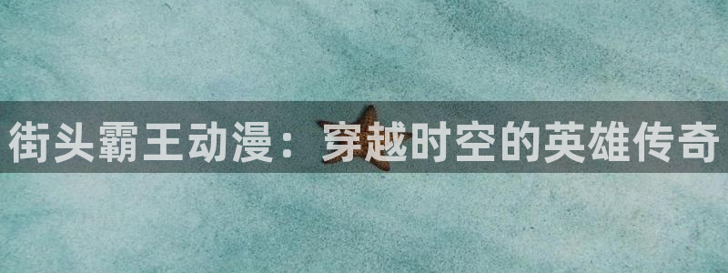 下载天堂动漫：街头霸王动漫：穿越时空的英雄传奇