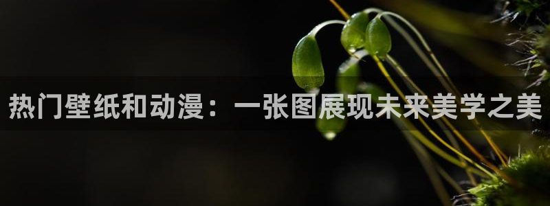 天堂动漫在线入口：热门壁纸和动漫：一张图展现未来美学之美